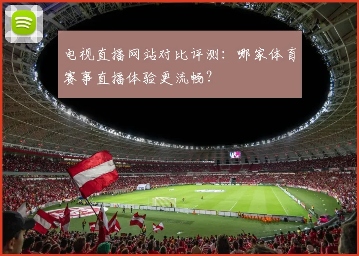 电视直播网站对比评测：哪家体育赛事直播体验更流畅？