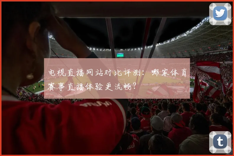 电视直播网站对比评测：哪家体育赛事直播体验更流畅？